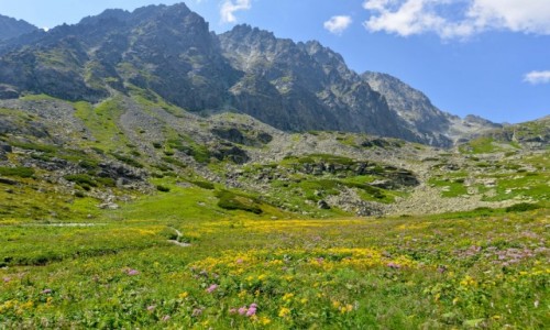 Zdjcie SOWACJA / Tatry Wysokie / Dolina Wielicka / ki pod Gerlachem