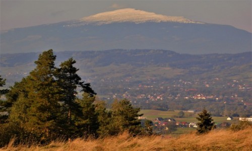 Zdjcie SOWACJA / Trstena / Orawa  / Krlowa Beskidw