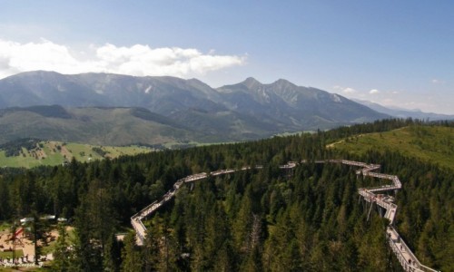 Zdj�cie S�OWACJA / Zdziar. / Granica Pieni�skiego i Tatrza�skiego Parku Narodowego. / Bachled�wka - Spacer w koronach drzew.