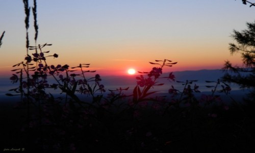 Zdjęcie SłOWACJA / Wysokie Tatry. / Szlak do / Wschód słońca z Hrebienoka 1285 m.