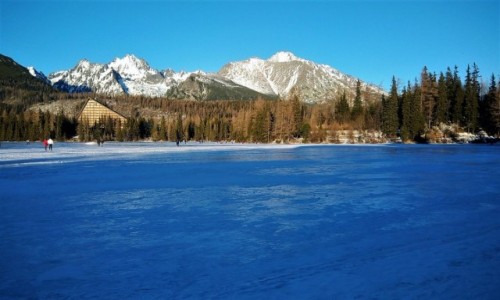 Zdjcie SOWACJA / Tatry / Szczyrbskie Pleso / Wspomnienia: ubiegoroczna zima nad Szczyrbskim Stawem