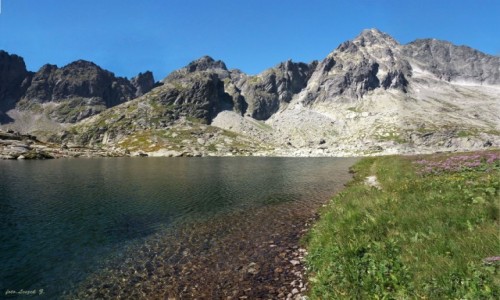 Zdjecie SOWACJA / Wysokie Tatry. / Dolina Piciu Staww Spiskich. / Nad Porednim Stawem Spiskim.