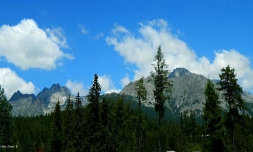 Zdjcie SOWACJA / Wysokie Tatry. / Szczyrbskie Pleso. / W Szczyrbskim plesie.