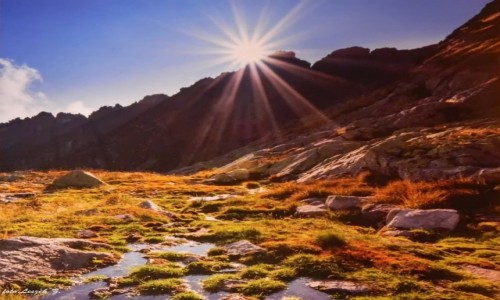 Zdjecie SOWACJA / Wysokie Tatry. / Szlak na Osterw. / Soce nad Tp.