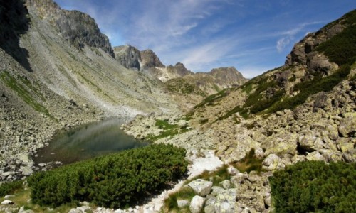 Zdjecie SOWACJA / Wysokie Tatry. / Szlak do Zbjnickiej Chaty. / W Dolinie Starolenej.