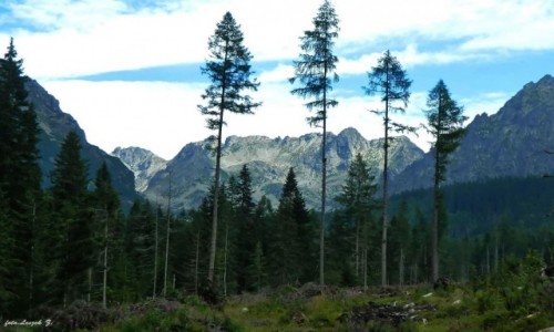 Zdjęcie SłOWACJA / Wysokie Tatry. / Szlak do Popradzkiego Stawu i Rysy. / Dolina Złomisk.