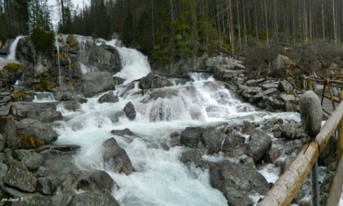 Zdjcie SOWACJA / Wysokie Tatry. / Wodospady Zimnej Wody. / Wielki Wodospad - Zimnej Wody.