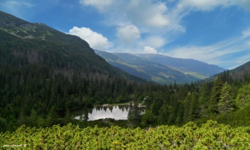 Zdjęcie SłOWACJA / Wysokie Tatry. / Schronisko (Bufet) Rohacki. / Czarna Młaka pod Rohaczami.