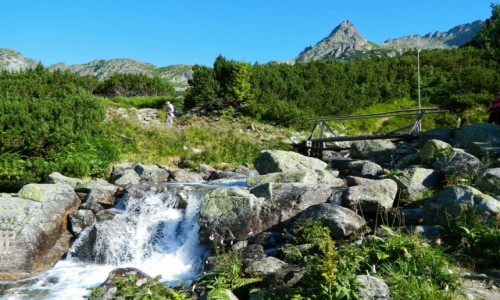 Zdjęcie SłOWACJA / Wysokie Tatry. / Szlak na Rysy / Rozstaje nad Żabim Potoku.
