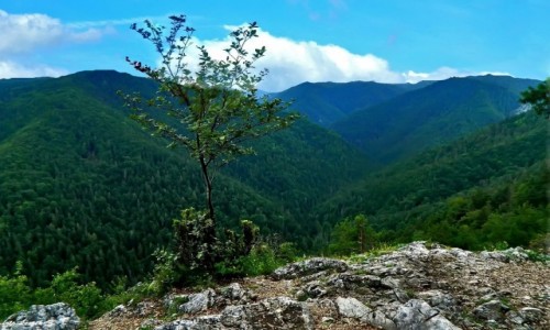 Zdjecie SOWACJA / Cingov. / Sowacki Raj. / Sowacki Raj - Tomaszowski widok (Tomasovsky vyhlad).