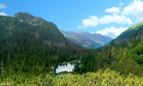Zdjcie SOWACJA / Wysokie Tatry. / Dolina Rohacka. / Czarna Maka przy schronisku Rohackim