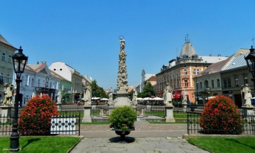 Zdjecie SOWACJA / Kotlina Koszycka. / Koszyce. / Koszyce - Immaculata – Kolumna – Pomnik Maryi Panny.
