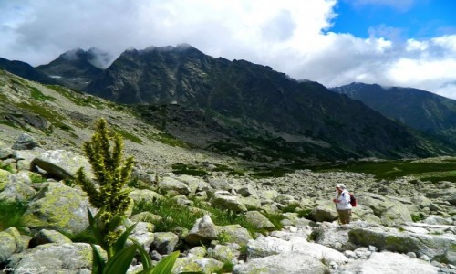 Zdjecie SOWACJA / Wysokie Tatry. / Miguszowiecka Dolina. / Ze szlaku nad Wielki Hiczowy Staw i Koprowy Wierch.