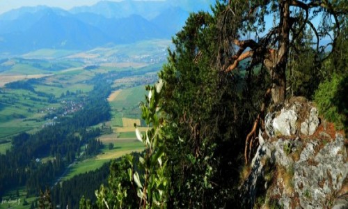 Zdjcie SOWACJA / Tatry Zachodnie. / Szlak na Siwy Wierch. / W Tatrach Zachodnich.