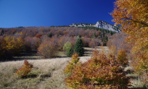 Zdjcie SOWACJA / Wielka Fatra / Wielka Fatra / Wielka Fatra