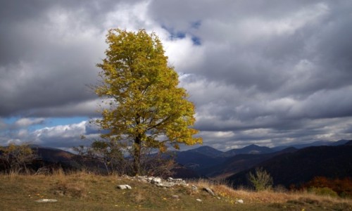Zdjcie SOWACJA / Wielka Fatra / Wielka Fatra / Wielka Fatra