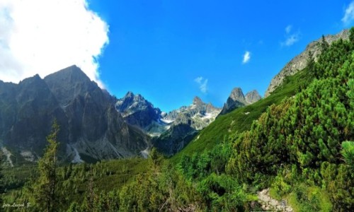Zdjecie SOWACJA / Wysokie Tatry. / Dolina Biaych Staww. / Otoczenie Zielonego Stawu Kiemarskiego.