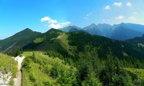 Zdjecie SOWACJA / kraj yliski. / Szlak: Siwy Wierch - Babky. / Tatry Zachodnie.