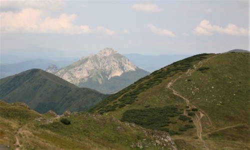 Zdjcie SOWACJA / Orawa / Chleb -1646 m n.p.m / Widok na Wielki Rozsutec