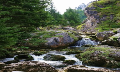 Zdjcie SOWACJA / Orawa / Dolina Vratna w Maej Fatrze / Wratniaski potok
