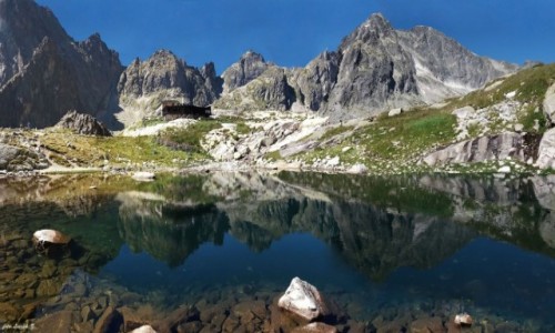 Zdjecie SOWACJA / Wysokie Tatry. / Dolina Piciu Staww Spiskich. / W Dolinie Piciu Staww Spiskich.