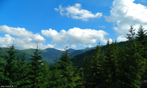 Zdjcie SOWACJA / Tatry Zachodnie. / Rohacze - Spalona. / Tatry Zachodnie.