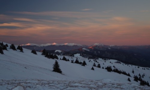 Zdjęcie SłOWACJA / Wielka Fatra / W drodze na Ploska / Wielka Fatra