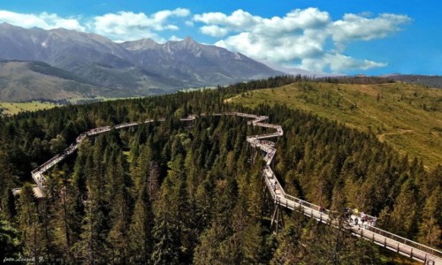 Zdj�cie S�OWACJA / Bielskie Tatry. / Zdziar. / Bachled�wka - Spacer w koronach drzew.