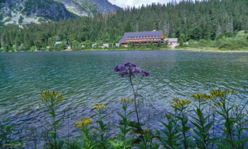 Zdjcie SOWACJA / Wysokie Tatry. / Popradzki Staw. / Schronisko nad Popradzkim Stawem.
