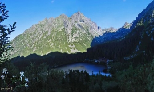 Zdjecie SOWACJA / Wysokie Tatry. / Szlak na Osterw i Tp. / Popradzki Staw ze szlaku na Osterw.