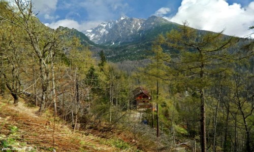 Zdjecie SOWACJA / Wysokie Tatry. / Hrebienok. / Bilikowa Chata z Hrebienoka.