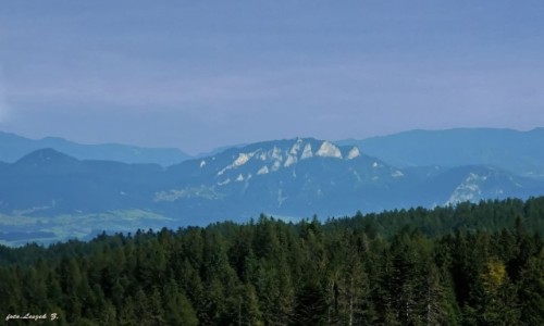 Zdj�cie S�OWACJA / Bielskie Tatry. / Bachled�wka - spacer w koronach drzew. / 