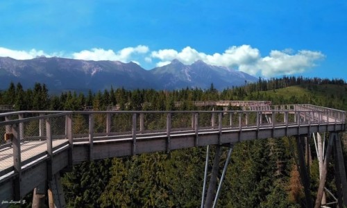 Zdjecie SłOWACJA / Ździar. - Spiska Magura. / Zdziar. / Bachledówka - Spacer w koronach drzew.