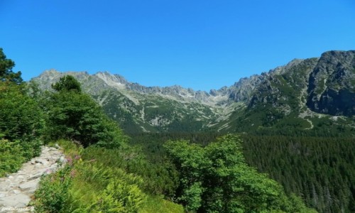 Zdjcie SOWACJA / Wysokie Tatry. / Szlak: Szczyrbski Staw - Popradzki Staw. / Dolina Zomisk.