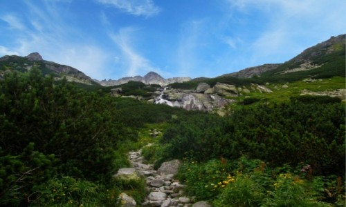 Zdjęcie SłOWACJA / Wysokie Tatry. / Szlak na Rysy. / Ze szlaku na Rysy.