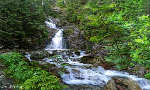 Zdjęcie SłOWACJA / Wysokie Tatry. / Koprowa Dolina. / Wodospad Kmetov.