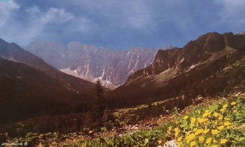 Zdjcie SOWACJA / Wysokie Tatry. / Dolina Jaworowa. / Jaworowe Turnie w Jaworowej Dolinie.
