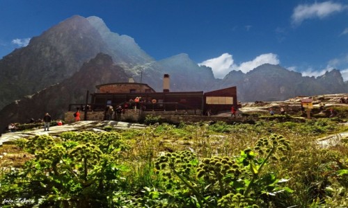 Zdjecie SOWACJA / Wysokie Tatry. / Chata Teryego. / Arcydzigiel Litwor. (Dzigiel Grski).