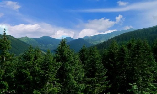 Zdjcie SOWACJA / Tatry Zachodnie. / Rohacze - Spalena. / Tatry Zachodnie.
