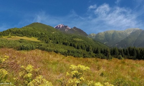 Zdjcie SOWACJA / Tatry Zachodnie. / Szlak: Siwy Wierch - Babky. / Siwy Wierch z Przeczy Przedwrocie (Preduvratie 1585m.)