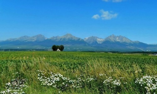 Zdjęcie SłOWACJA / Wysokie Tatry. / Na trasie. /