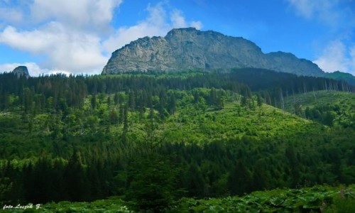 Zdjcie SOWACJA / Dolina Jaworowa. / Szlak na Siodeko. / Mura.