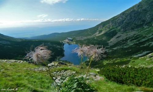 Zdjcie SOWACJA / Wysokie Tatry. / Dolina Wielicka. / Wielicki Staw i Hotel 