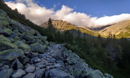 Zdjecie SOWACJA / Tatry / gdzie na szlaku / do gry...
