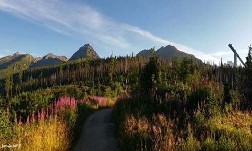 Zdjecie SOWACJA / Wysokie Tatry. / Szlak na Porednie Solisko. / Na szlaku.