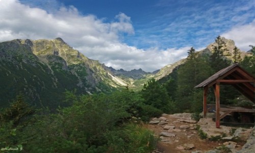 Zdjcie SOWACJA / Wysokie Tatry. / Szlak do Skalnego Stawu. / Dolina Mynicka.