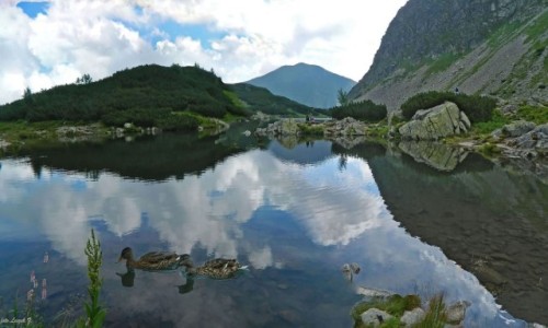 Zdjcie SOWACJA / Dolina Zuberska. / Tatry Zachodnie. / Rohackie Stawy.