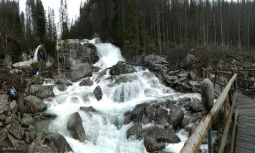 Zdjcie SOWACJA / Wysokie Tatry. / Dolina Zimnej Wody. / Wodospady Zimnej Wody.