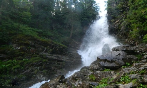Zdjcie SOWACJA / Wysokie Tatry. / Dolina Rohacka. / Rohacki Wodospad.