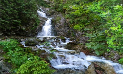 Zdjecie SOWACJA / Wysokie Tatry. / Dolina Niewcyrka. / Ninia Niewcyrska Siklawa.